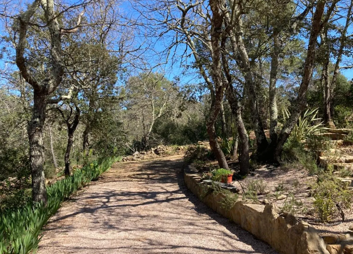 La Provencale Villa Cabasse
